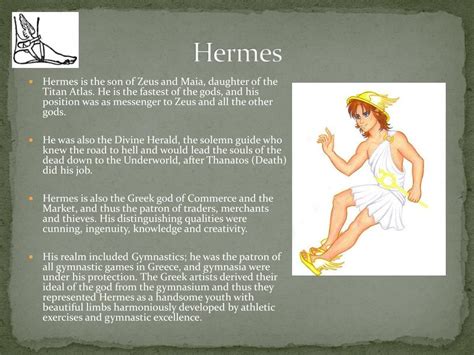 hermes physical description